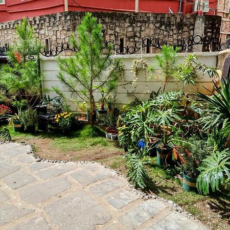 Wasabi House - Homestay Ben Cho Νταλάτ Εξωτερικό φωτογραφία