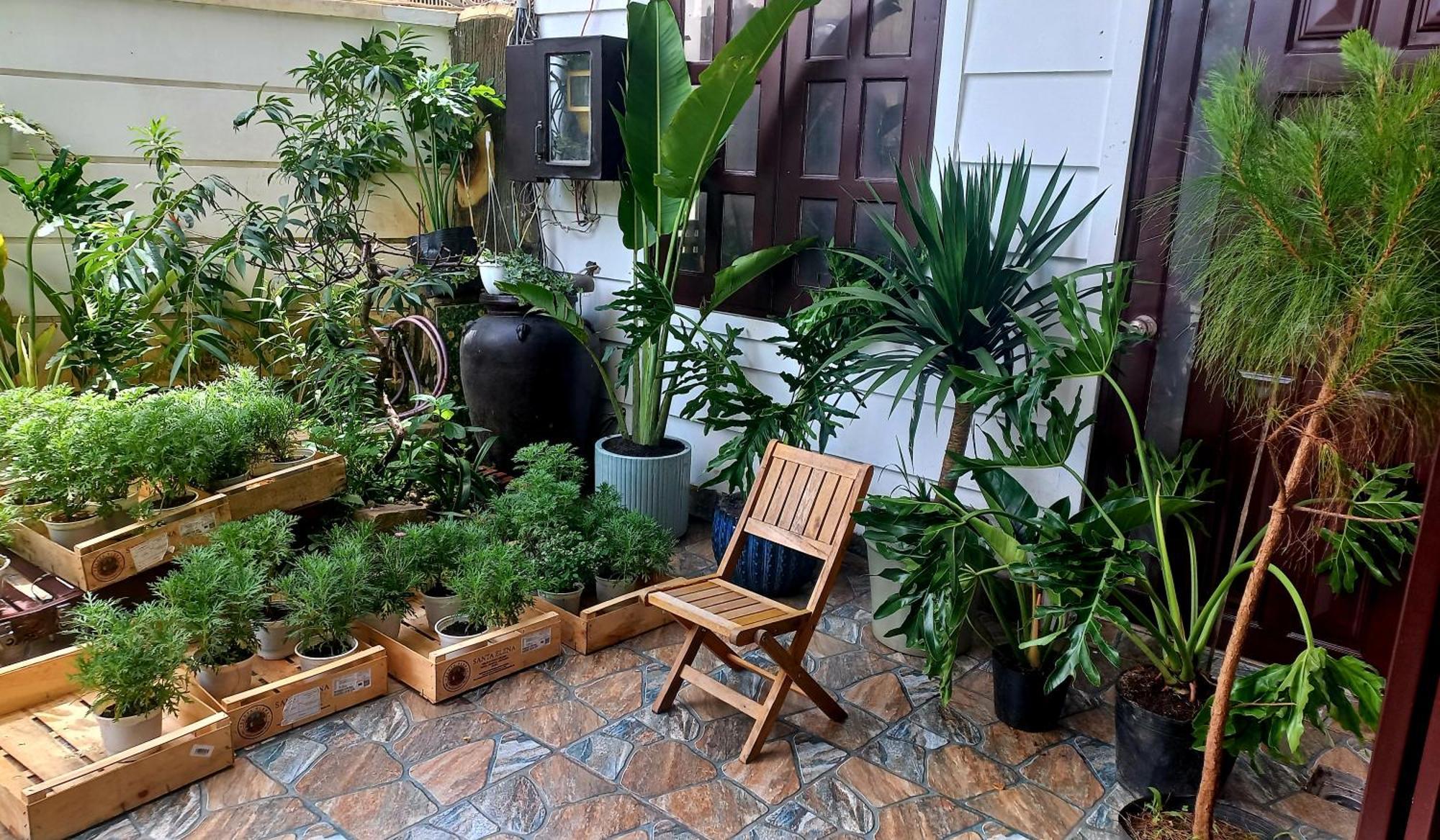 Wasabi House - Homestay Ben Cho Νταλάτ Εξωτερικό φωτογραφία