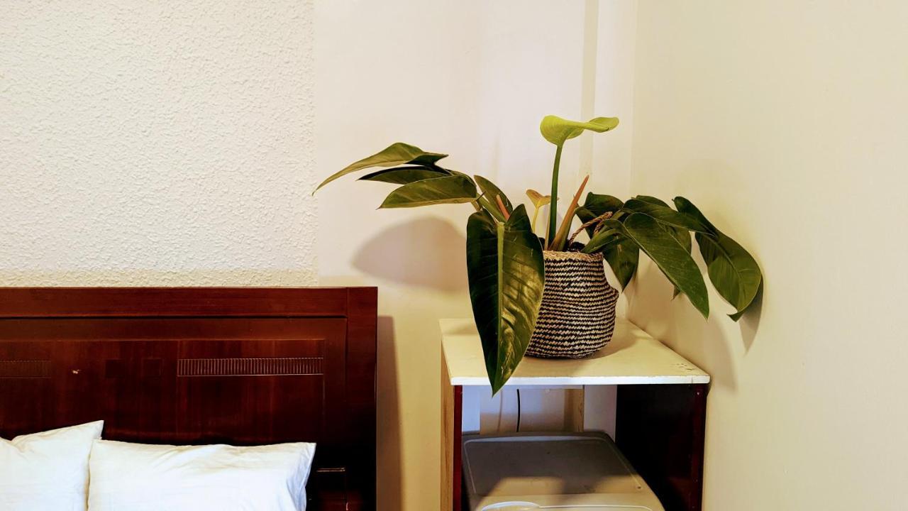 Wasabi House - Homestay Ben Cho Νταλάτ Εξωτερικό φωτογραφία