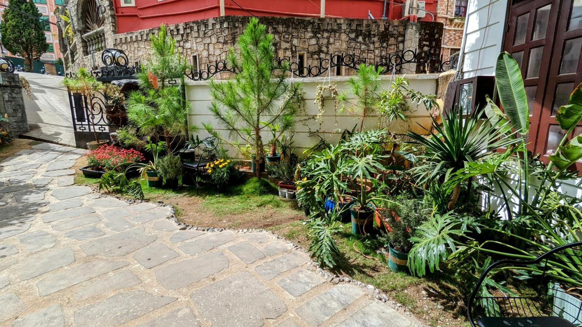 Wasabi House - Homestay Ben Cho Νταλάτ Εξωτερικό φωτογραφία