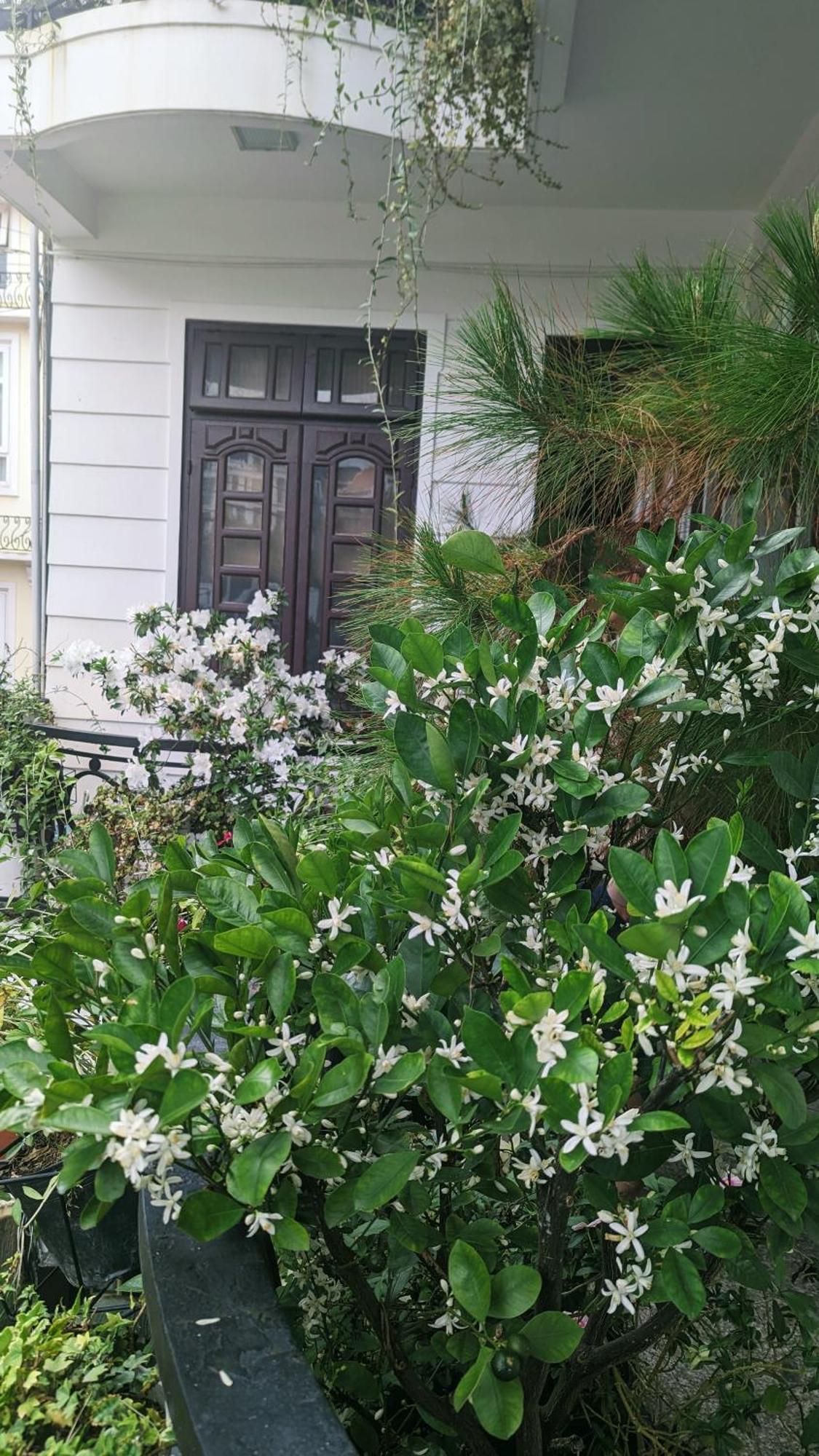Wasabi House - Homestay Ben Cho Νταλάτ Εξωτερικό φωτογραφία